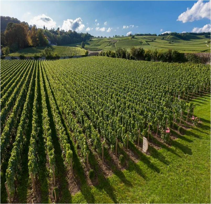 Le Clos Des Belvals 베르투스 외부 사진